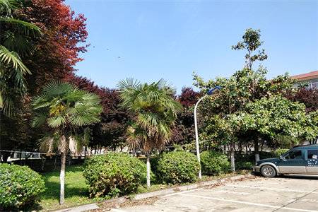 富沃德阳光城2室2厅1卫52万83.75m2出售